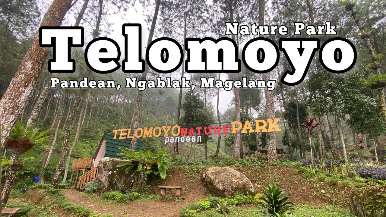 Jelajahi Telomoyo Nature Park: Surga Alam di Lereng Gunung Merbabu